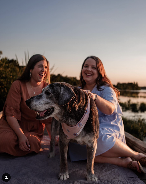 20-year-old shelter dog was who saved by two best friends last year, has passed away — rest in peace - picture 5