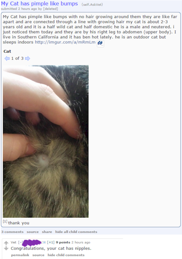21 People Who Seriously Need To Go Back To School Immediately - picture 7