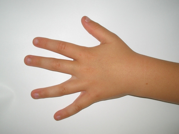24 Facts About Left-Handed People That You Didn’t Know About - picture 2