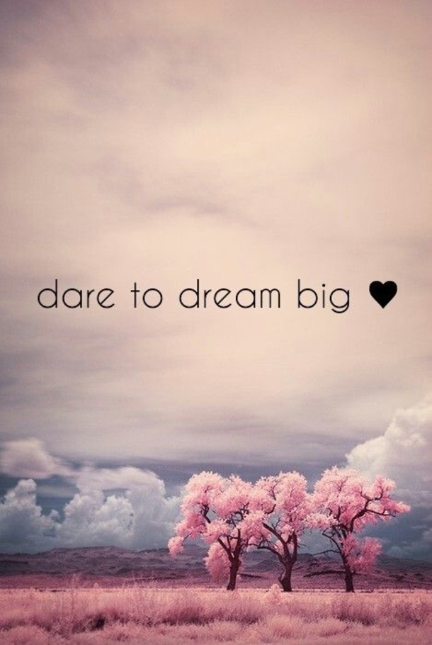 25+ Amazing Quotes About Never Giving Up On Your Dreams - picture 7