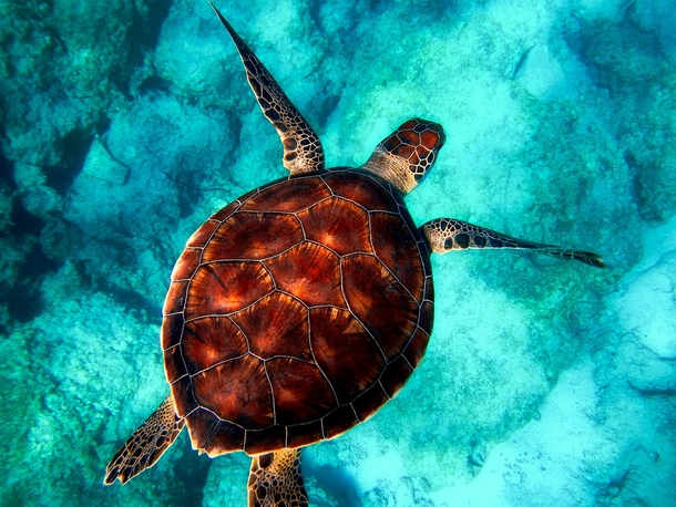 25 Beautiful Images Of Nature That'll Blow Your Mind - picture 10