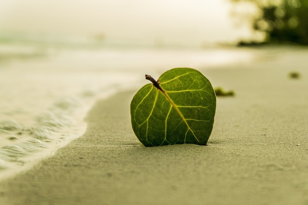 25 Beautiful Images Of Nature That'll Blow Your Mind - picture 11