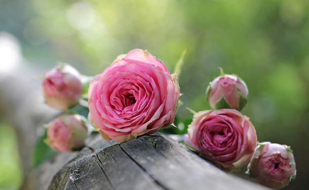 25 Beautiful Images Of Nature That'll Blow Your Mind - picture 14