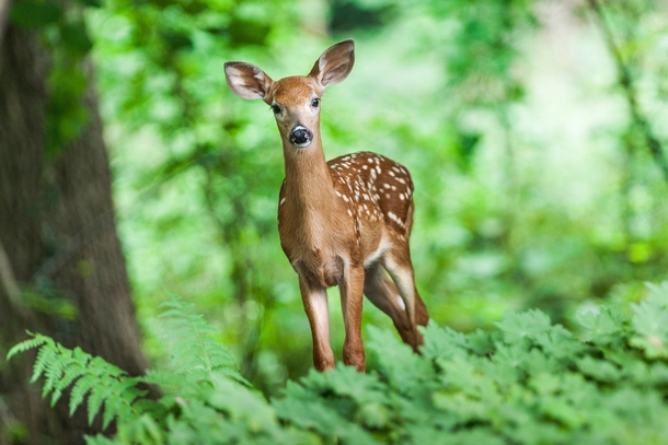 25 Beautiful Images Of Nature That'll Blow Your Mind - picture 16