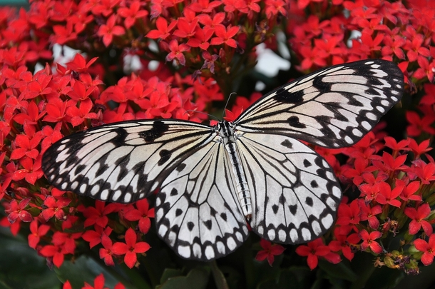25 Beautiful Images Of Nature That'll Blow Your Mind - picture 17