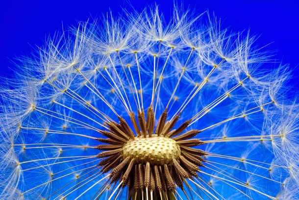 25 Beautiful Images Of Nature That'll Blow Your Mind - picture 18