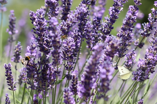 25 Beautiful Images Of Nature That'll Blow Your Mind - picture 2