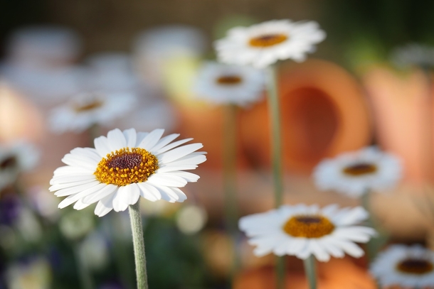 25 Beautiful Images Of Nature That'll Blow Your Mind - picture 20