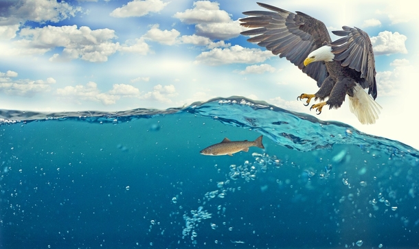 25 Beautiful Images Of Nature That'll Blow Your Mind - picture 21