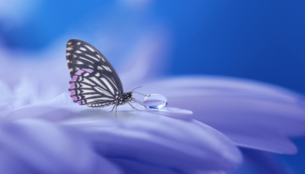 25 Beautiful Images Of Nature That'll Blow Your Mind - picture 22