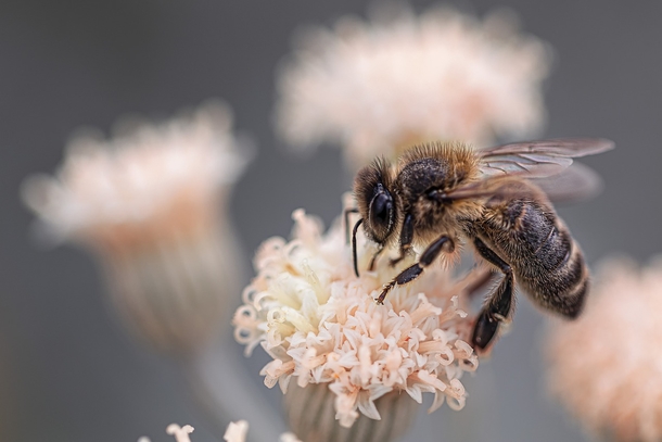 25 Beautiful Images Of Nature That'll Blow Your Mind - picture 23