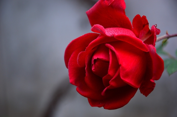 25 Beautiful Images Of Nature That'll Blow Your Mind - picture 26