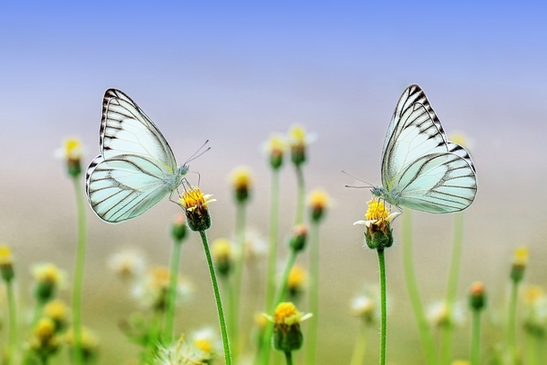 25 Beautiful Images Of Nature That'll Blow Your Mind - picture 3