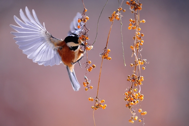 25 Beautiful Images Of Nature That'll Blow Your Mind - picture 5