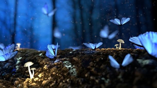 25 Beautiful Images Of Nature That'll Blow Your Mind - picture 7