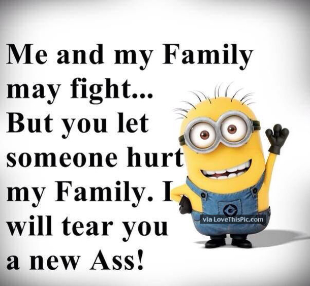 25 Best Family Minion Quotes - picture 11
