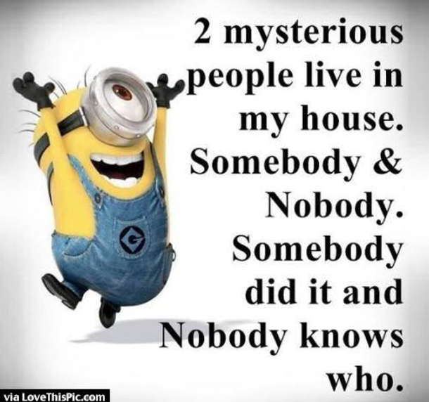 25 Best Family Minion Quotes - picture 18