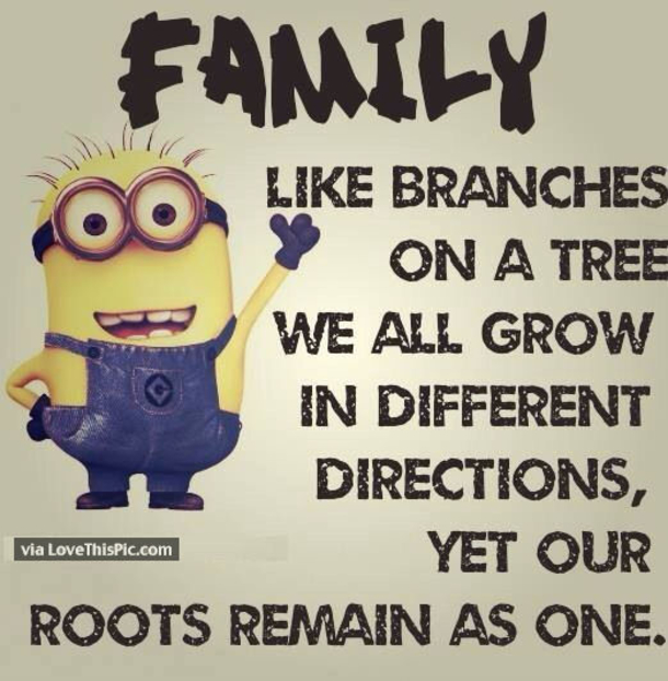 25 Best Family Minion Quotes - picture 2