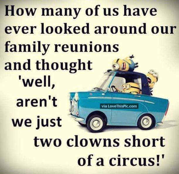 25 Best Family Minion Quotes - picture 20