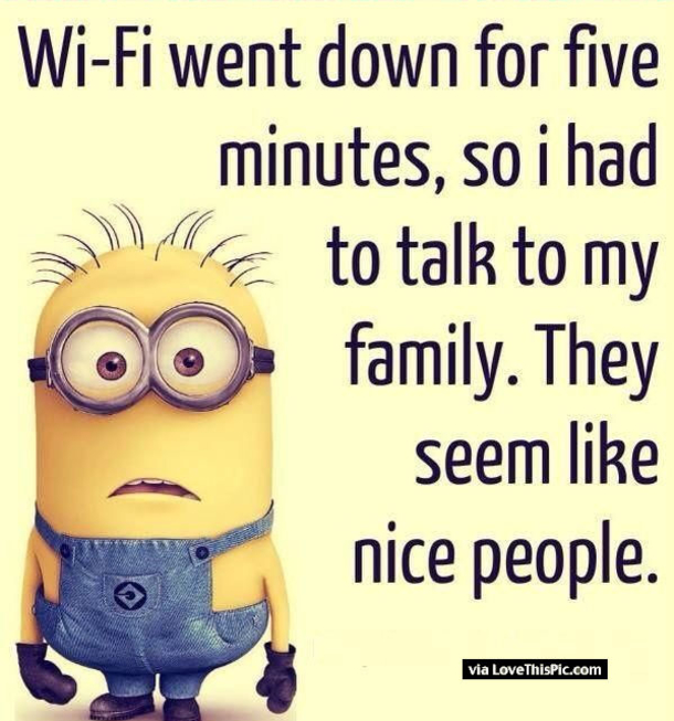 25 Best Family Minion Quotes - picture 24