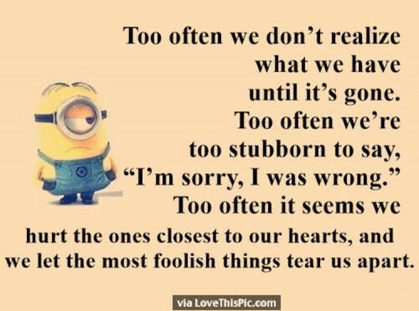 25 Best Family Minion Quotes - picture 26