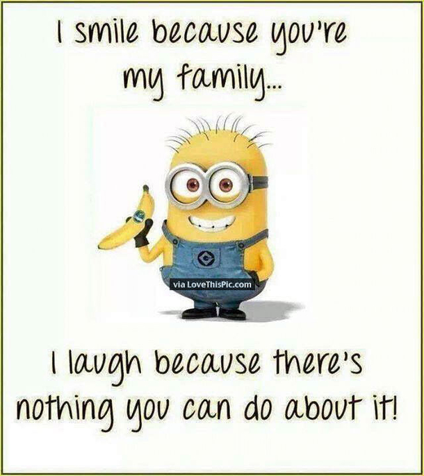 25 Best Family Minion Quotes - picture 4