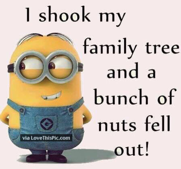 25 Best Family Minion Quotes - picture 5