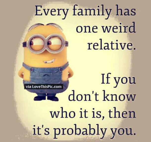 25 Best Family Minion Quotes - picture 8