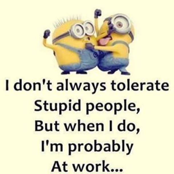 25+ Best Funny Minion Quotes On The Internet - picture 10