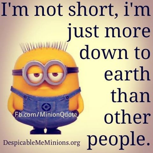 25+ Best Funny Minion Quotes On The Internet - picture 12