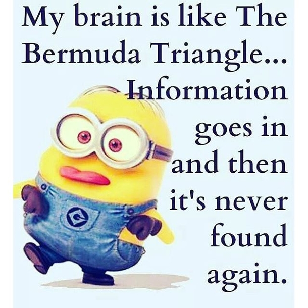 25+ Best Funny Minion Quotes On The Internet - picture 13