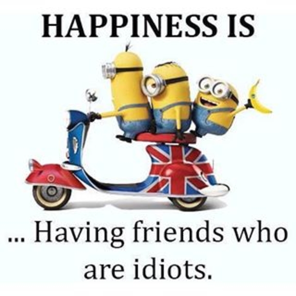 25+ Best Funny Minion Quotes On The Internet - picture 15