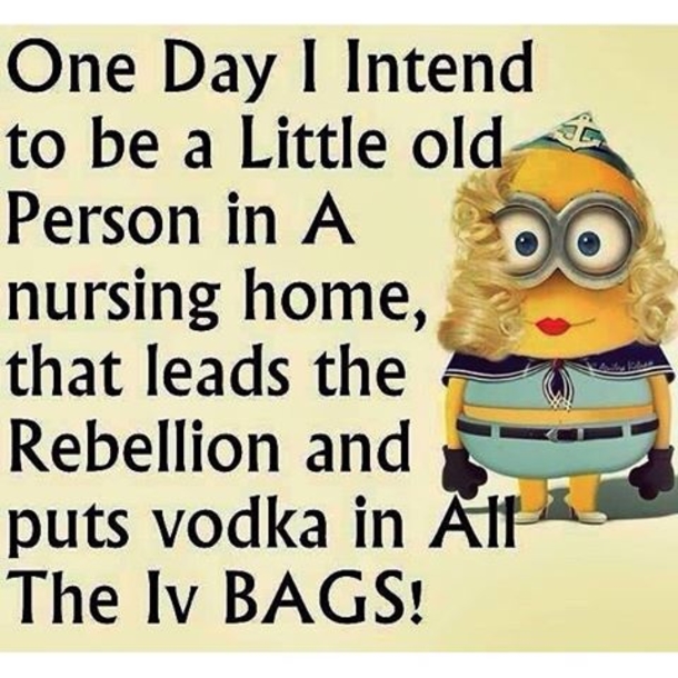 25+ Best Funny Minion Quotes On The Internet - picture 16