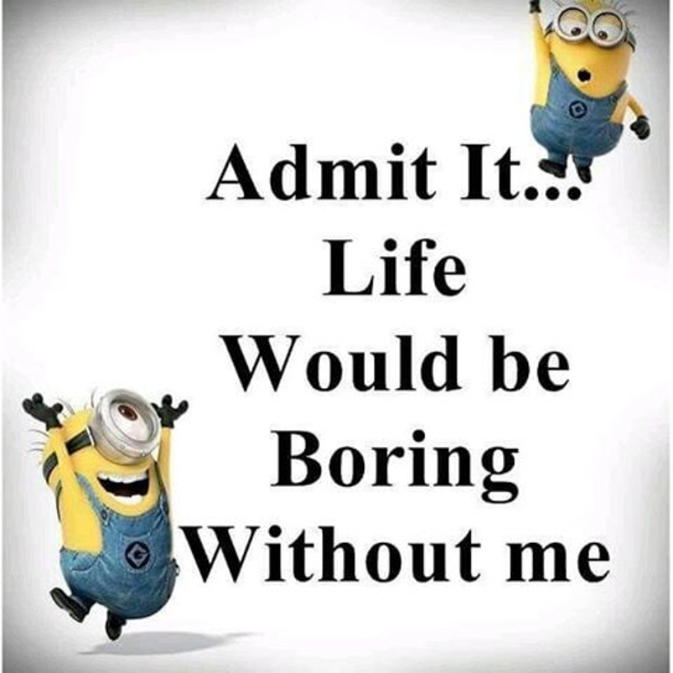 25+ Best Funny Minion Quotes On The Internet - picture 18