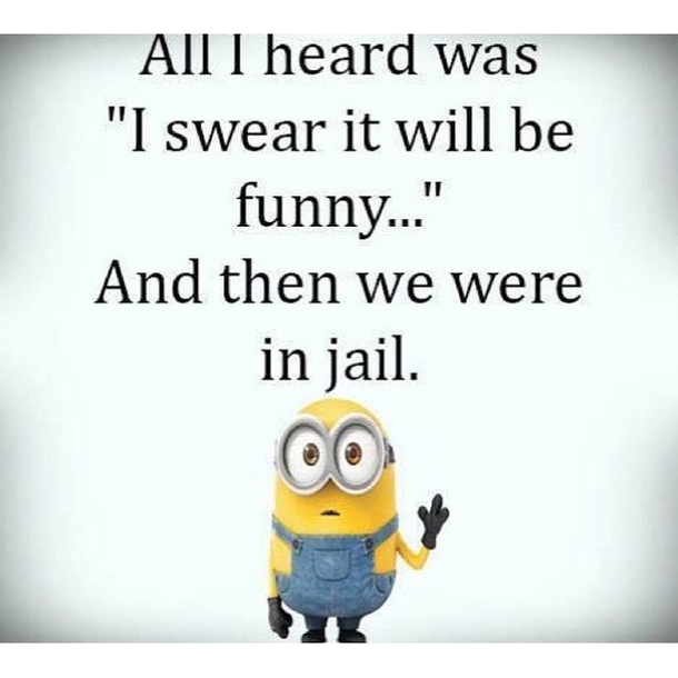 25+ Best Funny Minion Quotes On The Internet - picture 20