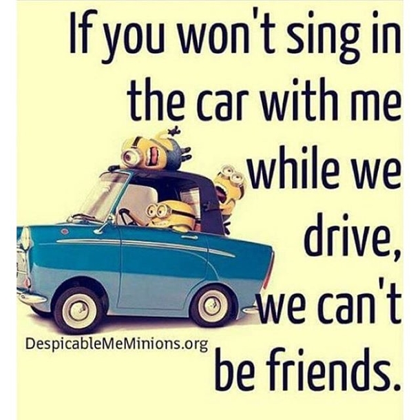 25+ Best Funny Minion Quotes On The Internet - picture 22