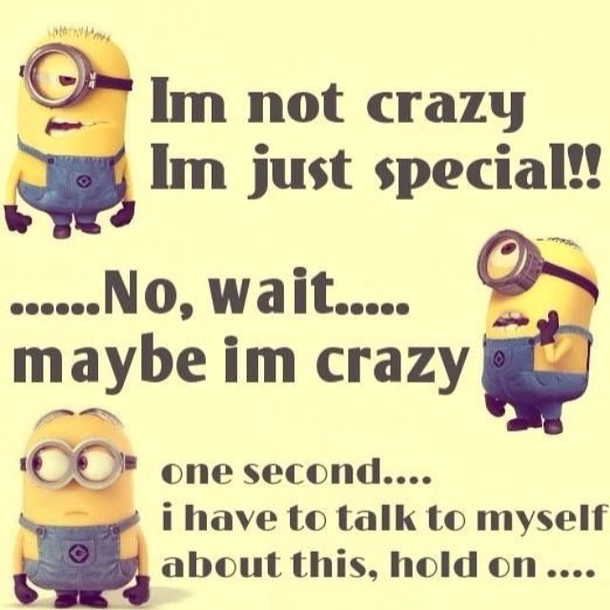 25+ Best Funny Minion Quotes On The Internet - picture 26