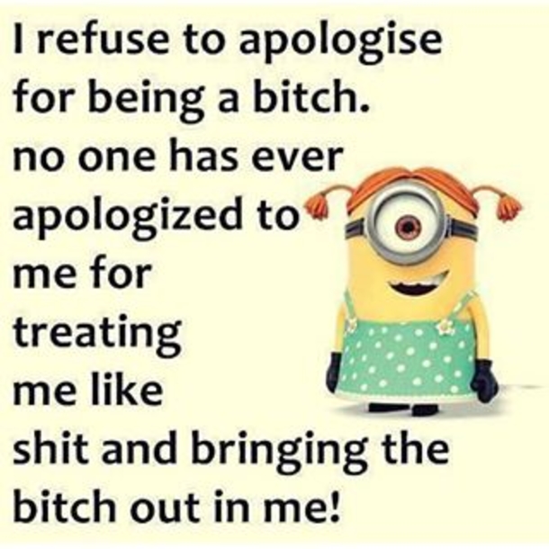 25+ Best Funny Minion Quotes On The Internet - picture 3