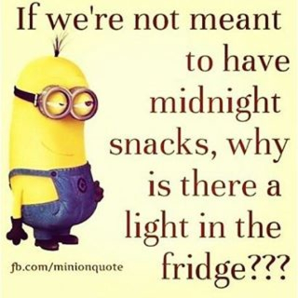 25+ Best Funny Minion Quotes On The Internet - picture 6