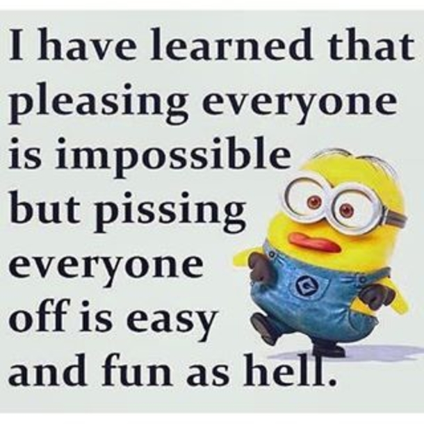25+ Best Funny Minion Quotes On The Internet - picture 7
