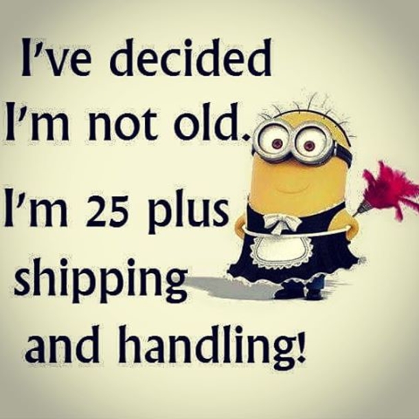 25+ Best Funny Minion Quotes On The Internet - picture 8