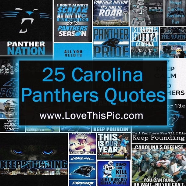 25 Carolina Panthers Quotes