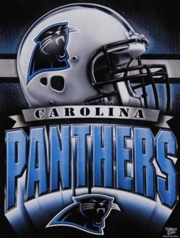 25 Carolina Panthers Quotes - picture 10