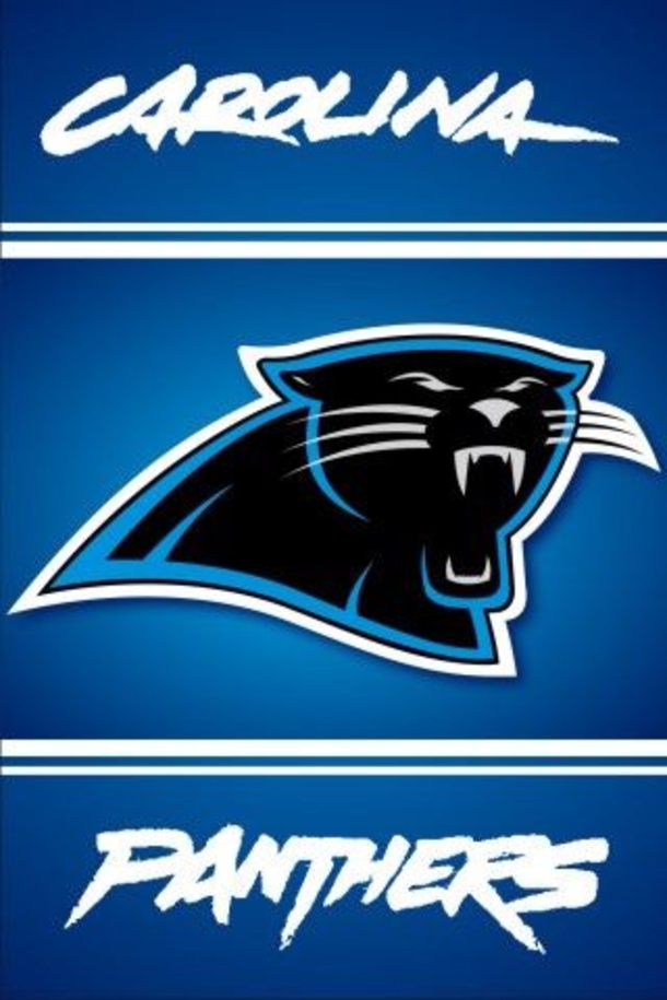25 Carolina Panthers Quotes - picture 11