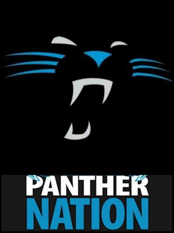 25 Carolina Panthers Quotes - picture 12
