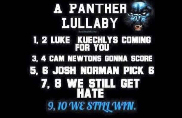 25 Carolina Panthers Quotes - picture 13