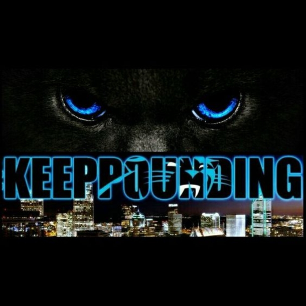 25 Carolina Panthers Quotes - picture 14