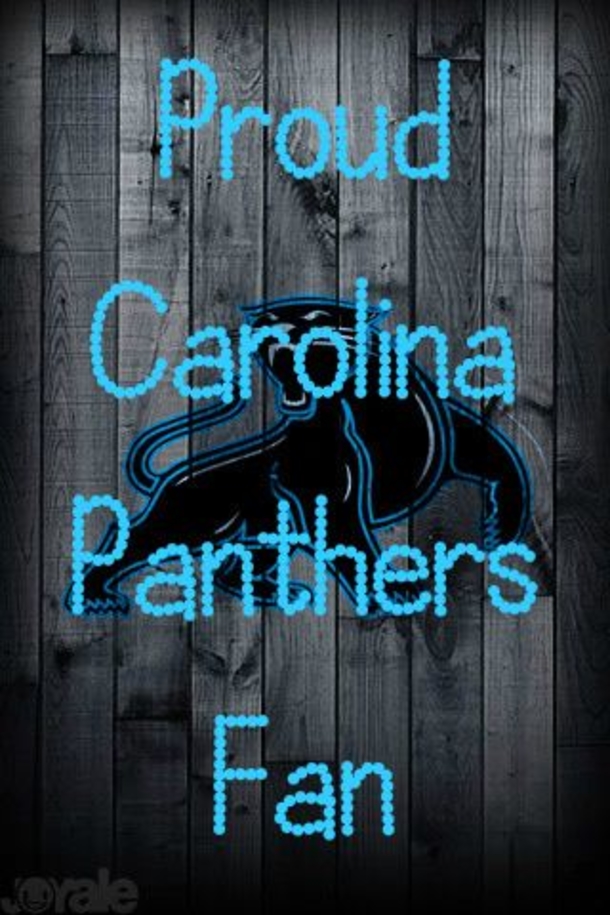 25 Carolina Panthers Quotes - picture 16