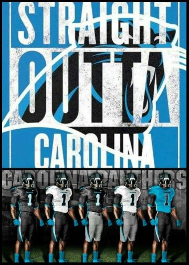 25 Carolina Panthers Quotes - picture 18