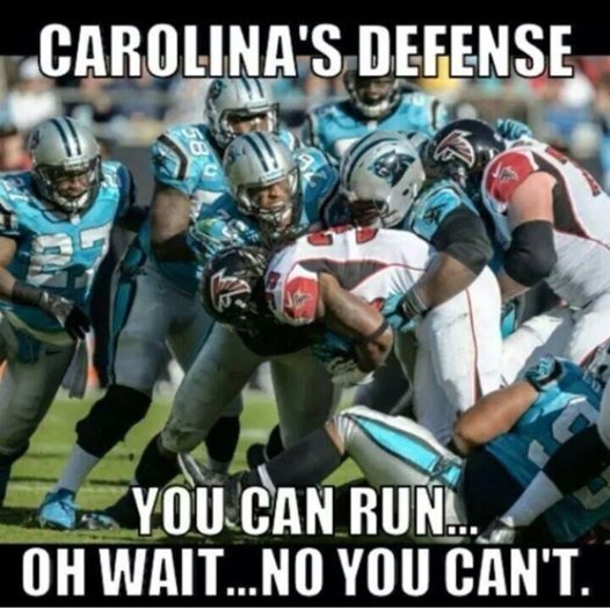 25 Carolina Panthers Quotes - picture 2